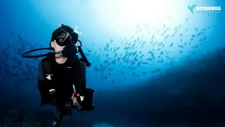 Day scuba diving el gouna egypt red sea
