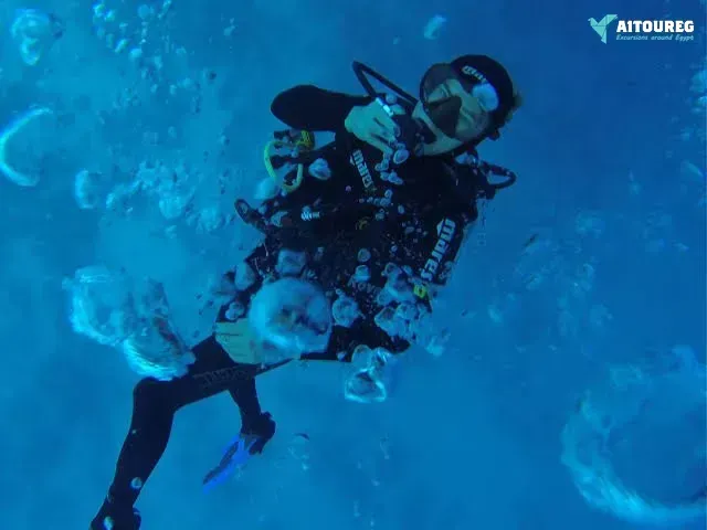Day scuba diving el gouna egypt red sea