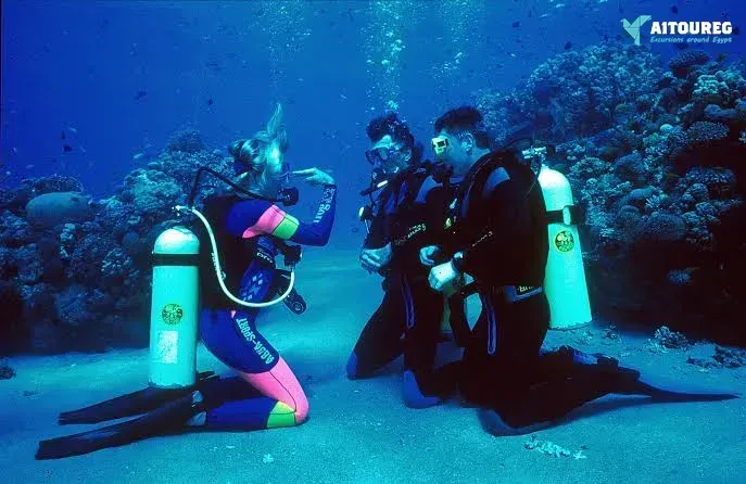 Day scuba diving el gouna egypt red sea