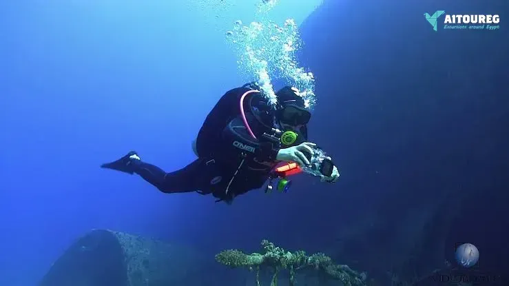 Day scuba diving el gouna egypt red sea