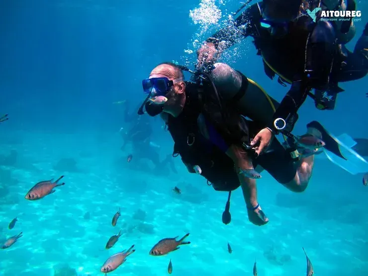 One-Day Scuba Diving Excursions in Hurghada.