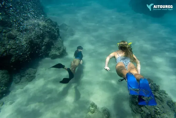 One-Day Scuba Diving Excursions in Hurghada.