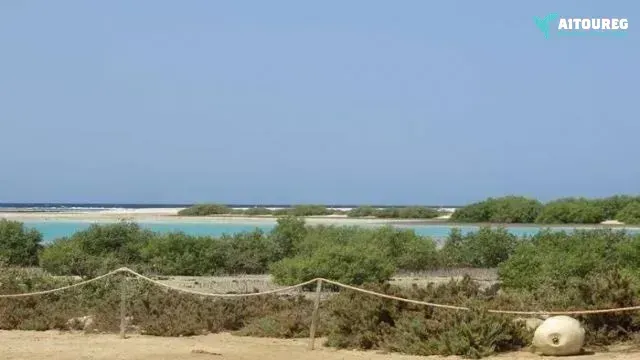Day snorkeling trip to sharm el lulli and wadi el qulaan