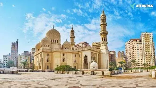 Day tour to alexandria from cairo