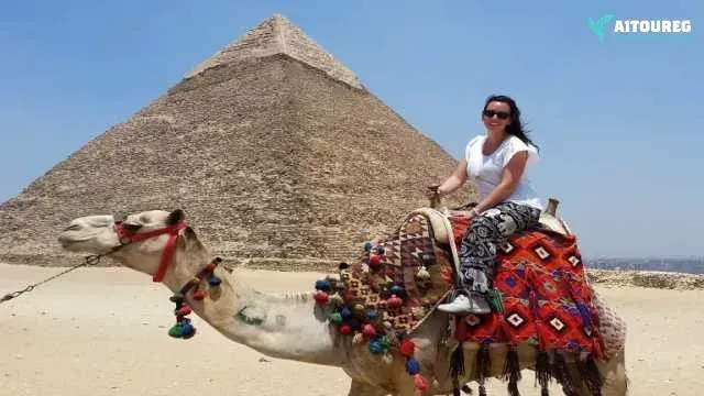 Day trip to giza pyramids sakkara from cairo