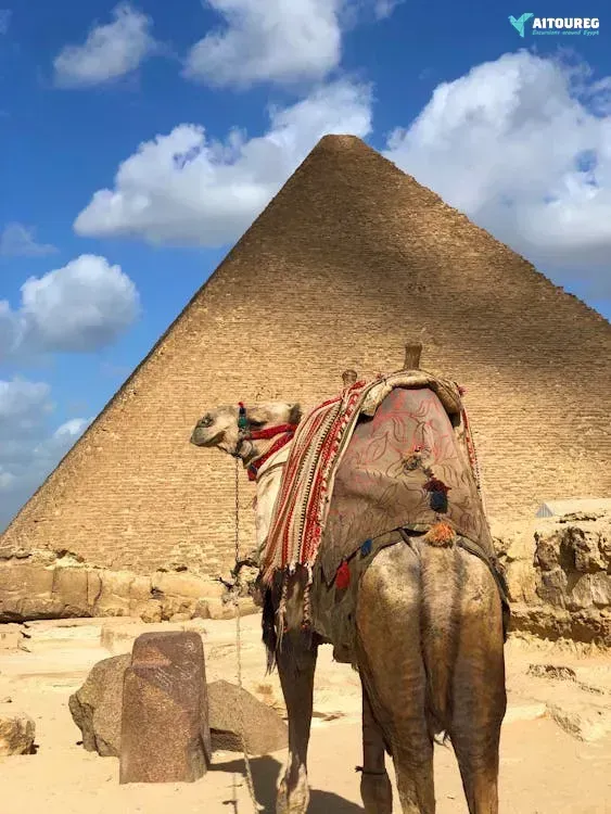 Day trip to giza pyramids sakkara from cairo