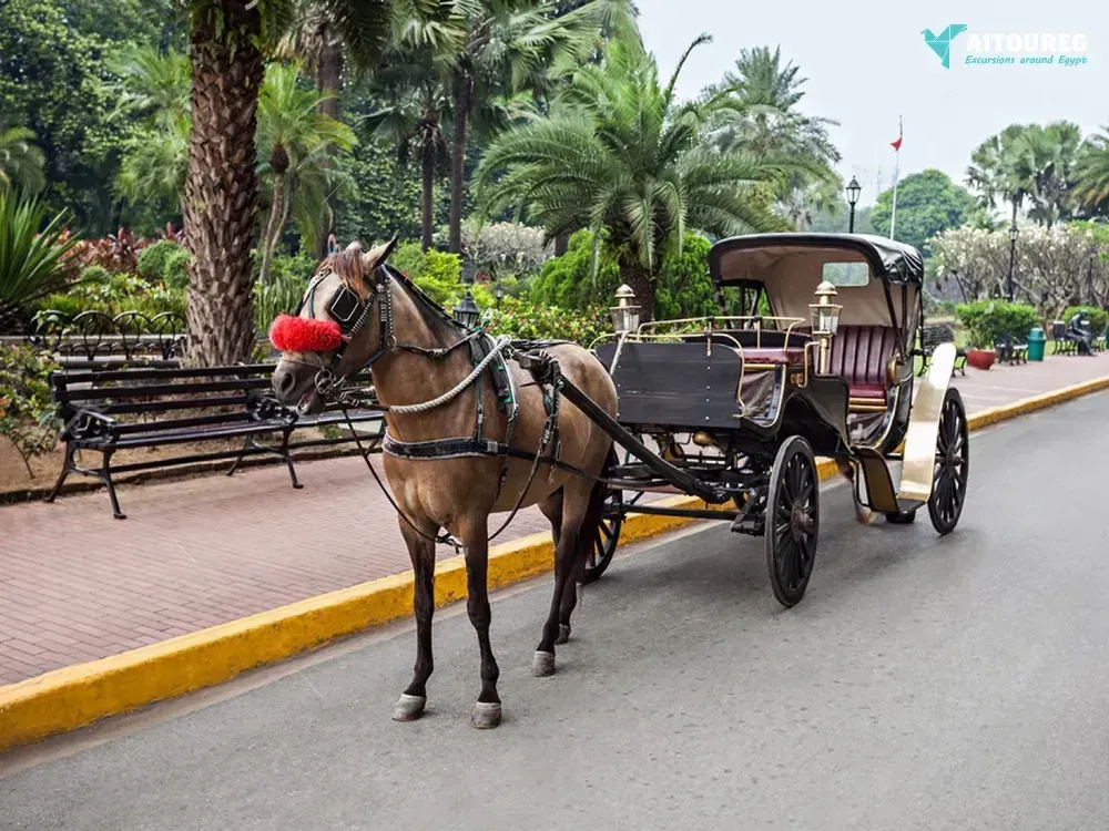 Day trip to luxor from cairo by flight