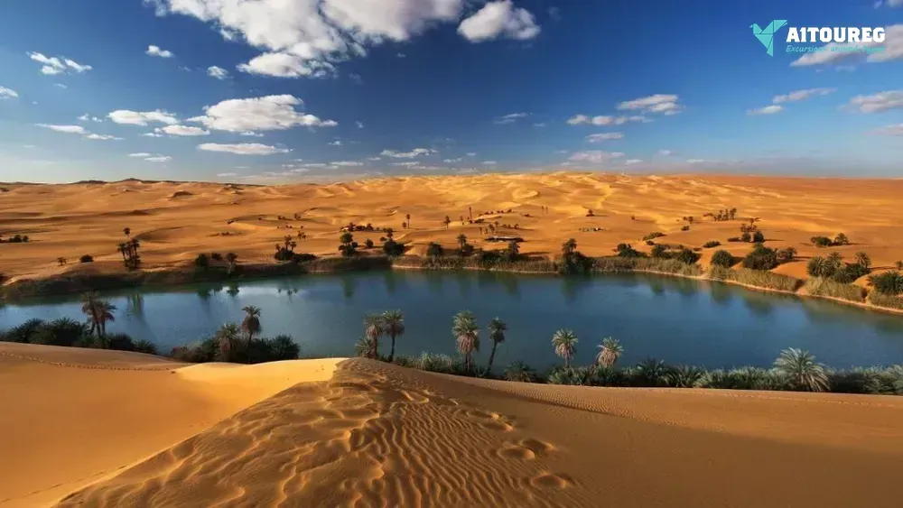Day trip to wadi al hitan and fayoum oasis from alexandria