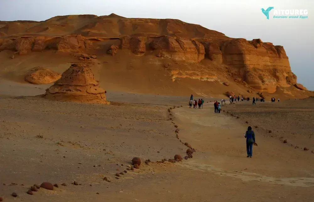 Day trip to wadi al hitan and fayoum oasis from hurghada