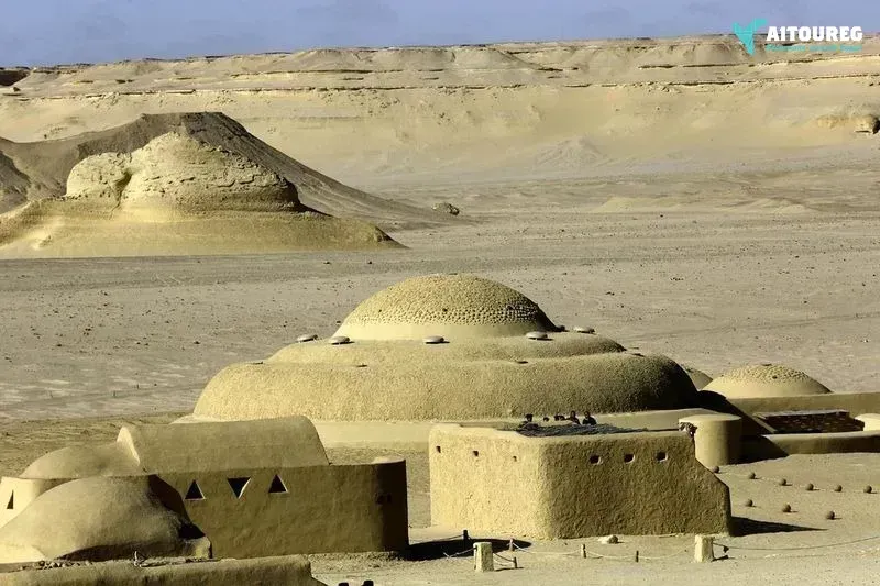 Day trip to wadi al hitan and fayoum oasis from hurghada