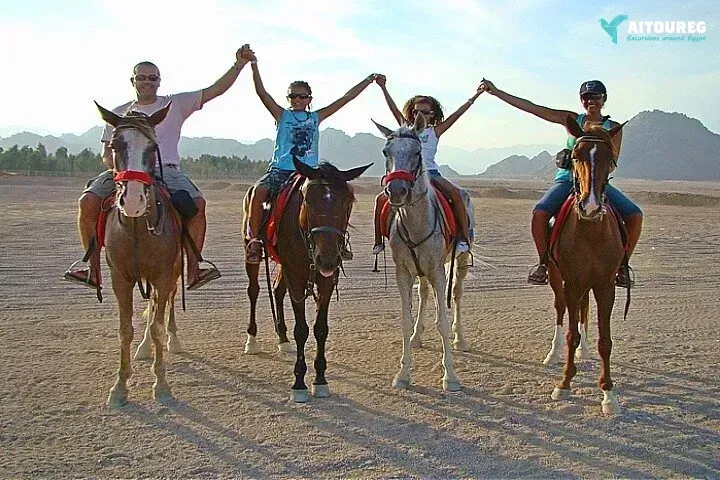 Desert horse riding in sharm el sheikh