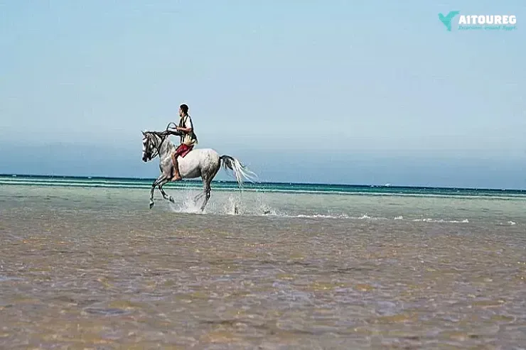 Desert horse riding in sharm el sheikh