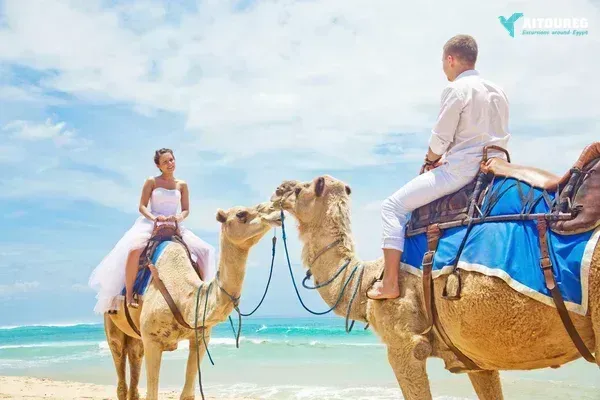 Desert super safari excursions by jeep from marsa alam