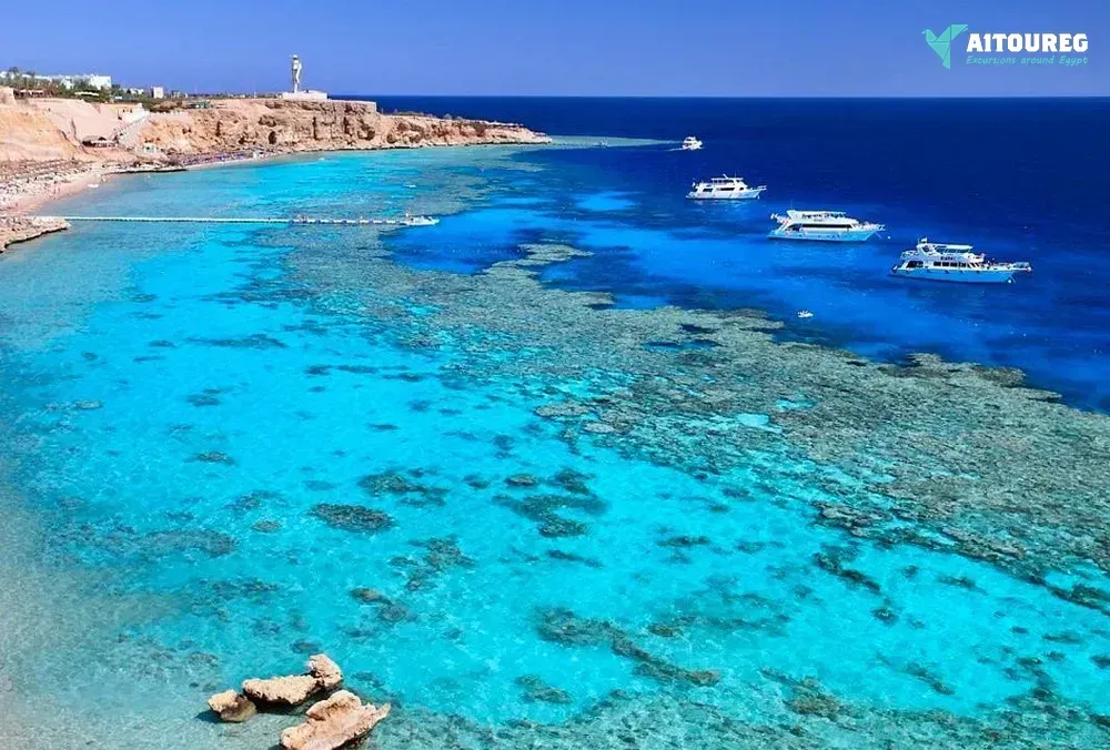 Diving trip in el fanara beach