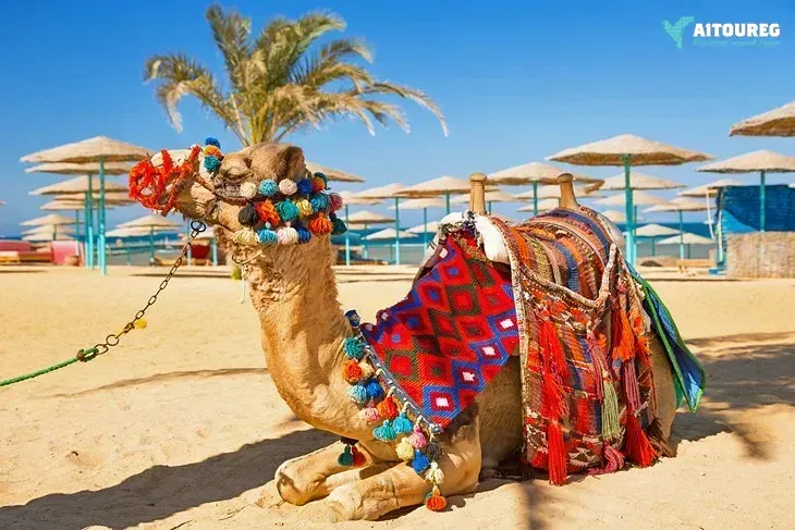 Egypt itinerary 11 days