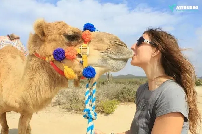 Egypt itinerary cairo and nile cruise 8 days