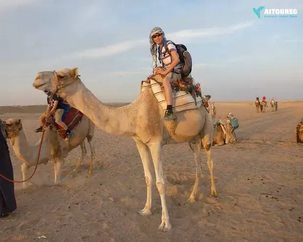 El gouna desert morning safari exciursion by quad bike
