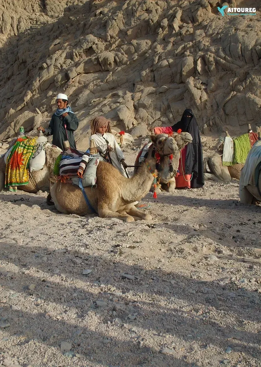 El gouna desert safari trip by jeep