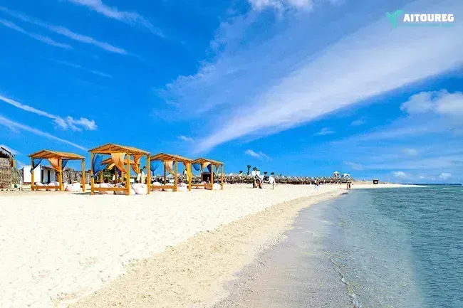 Find the dugong in marsa alam by speed boat