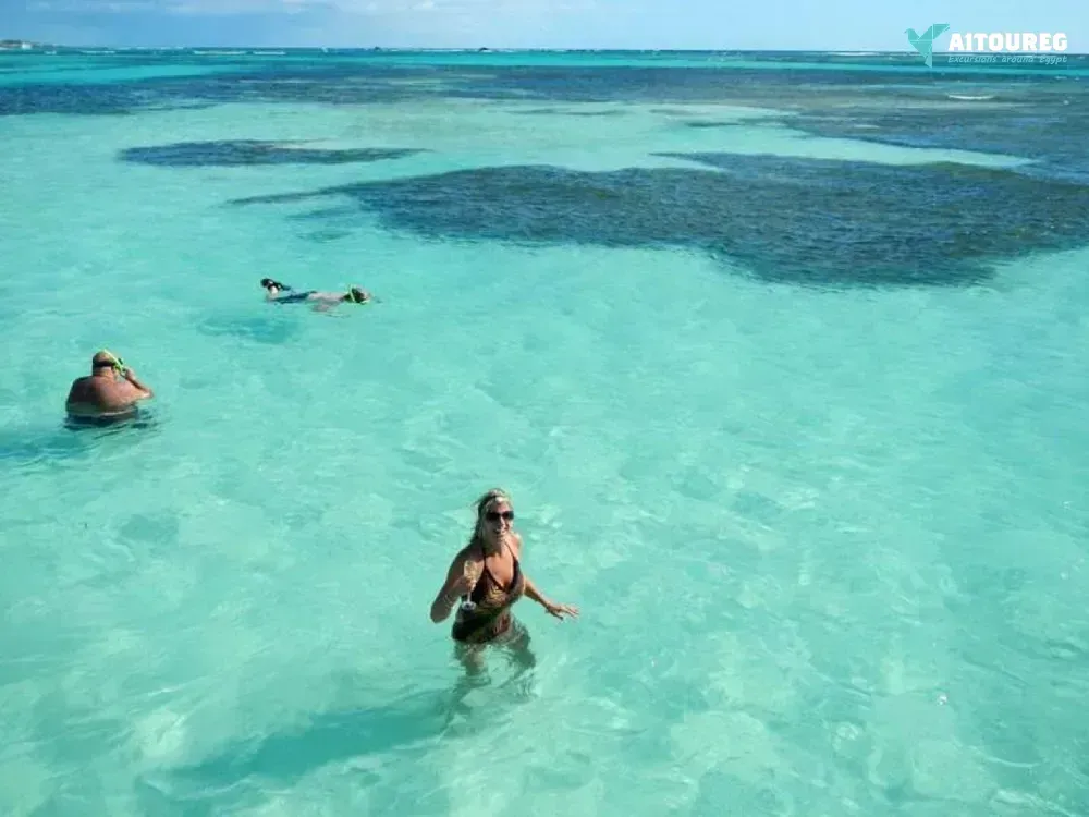 Find the dugong in marsa alam by speed boat