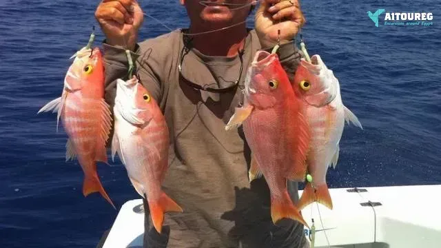 Private Fishing Adventure in Hurghada.