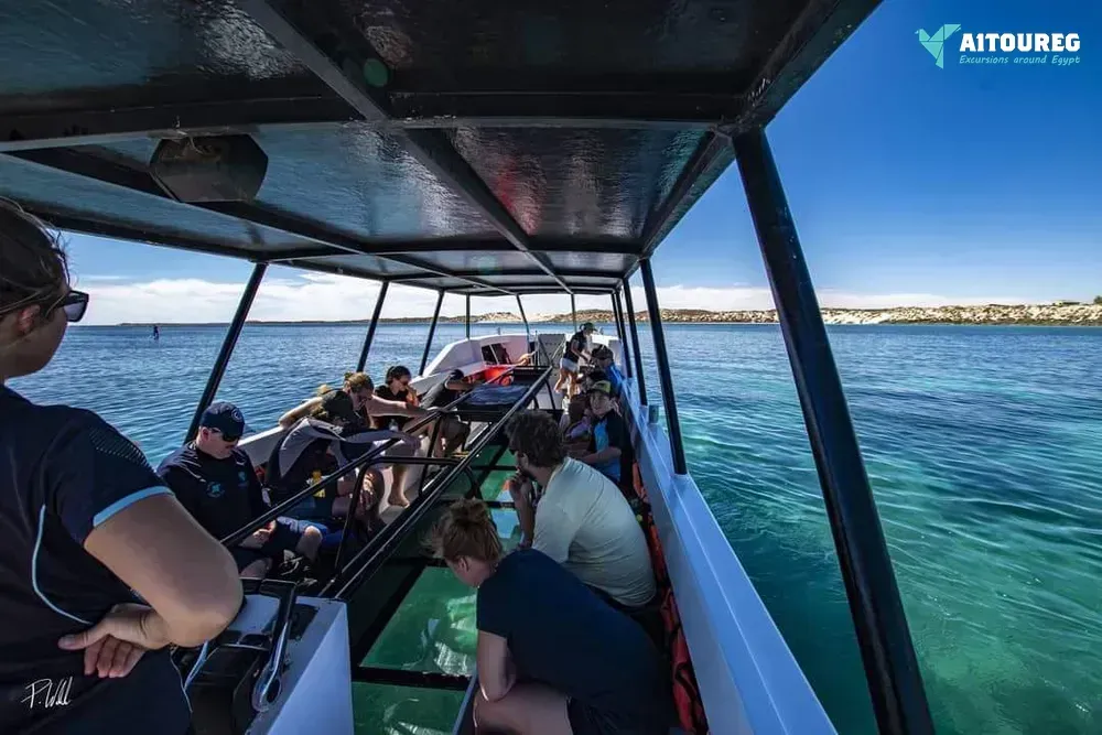 Glass bottom boat cruise and coral reef viewing