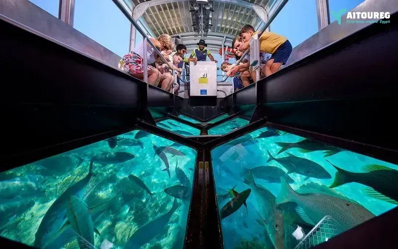 Glass bottom boat cruise and coral reef viewing