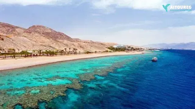 Half day snorkeling to sharm el luli