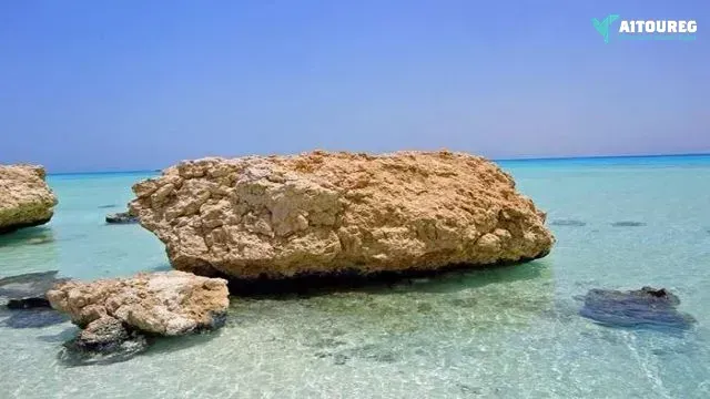 Half day snorkeling to sharm el luli