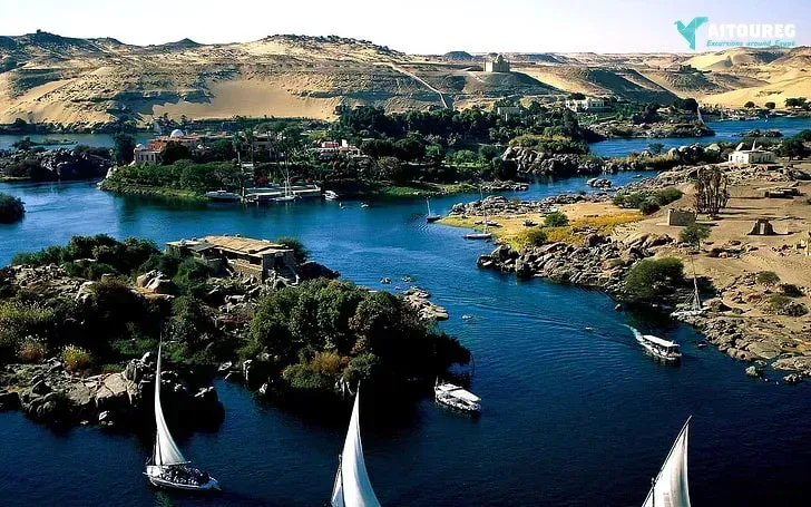 Luxor city tour by horse carriage