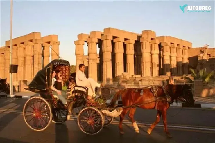 Luxor City Tour by Horse Carriage from West Bank