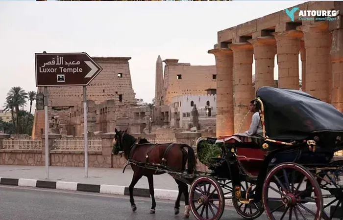 Luxor City Tour by Horse Carriage from West Bank