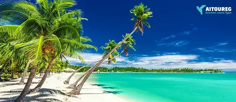 Paradise island snorkeling trip full day from sahel hashesh