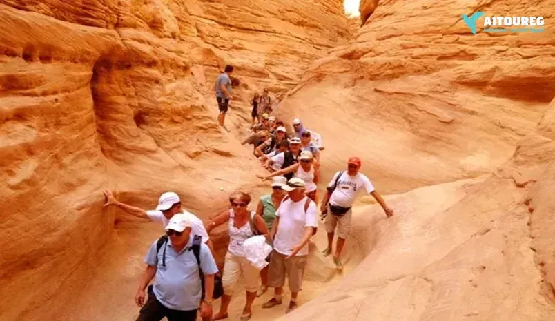 Petra Day Trip from Sharm El Sheikh- Best Price & Easy Booking