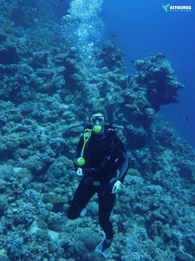 Portghalib diving trip from el quseir