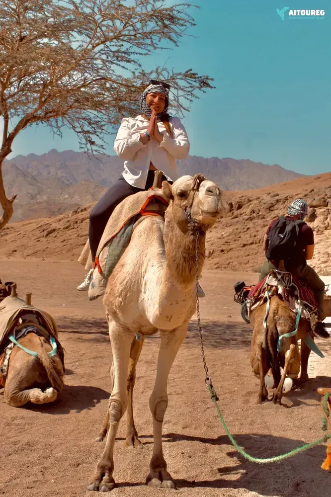 Private desert super safari excursions from marsa alam