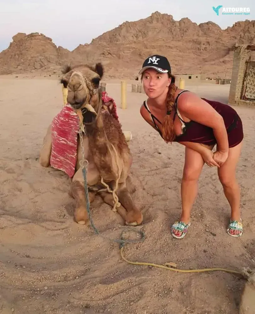 Private desert super safari excursions from marsa alam