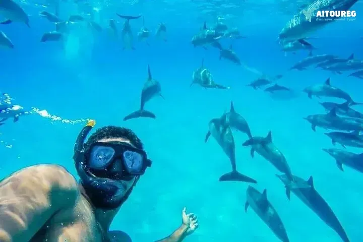 Private snorkeling boat trip to dolphin house from sahel hashesh