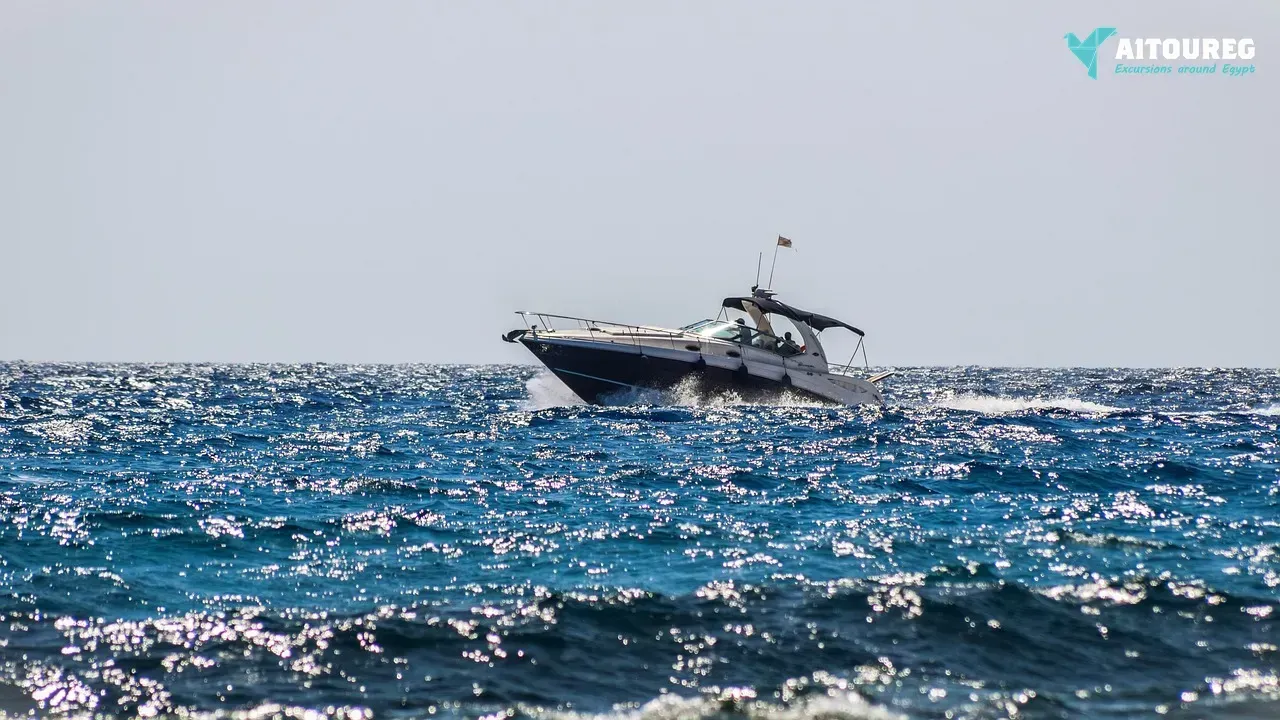 Private speedboat trip to Mahmya Island.