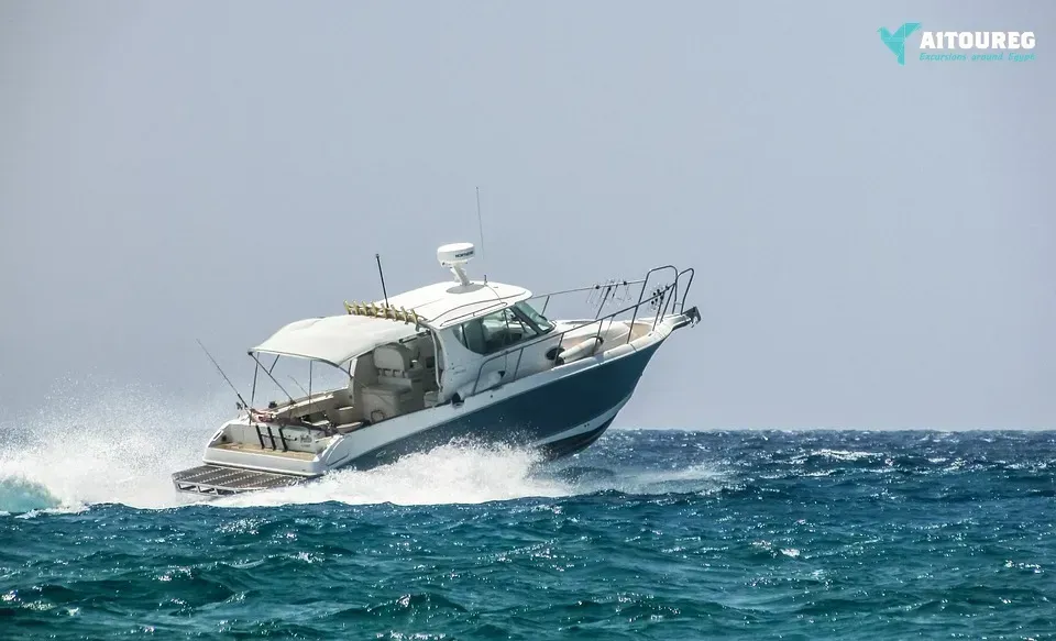 Private speedboat trip to Mahmya Island.