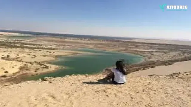 Private tour to wadi  el hitan from cairo