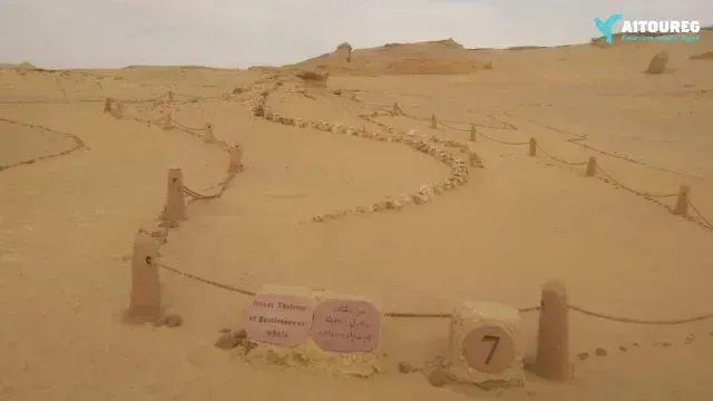 Private tour to wadi  el hitan from cairo