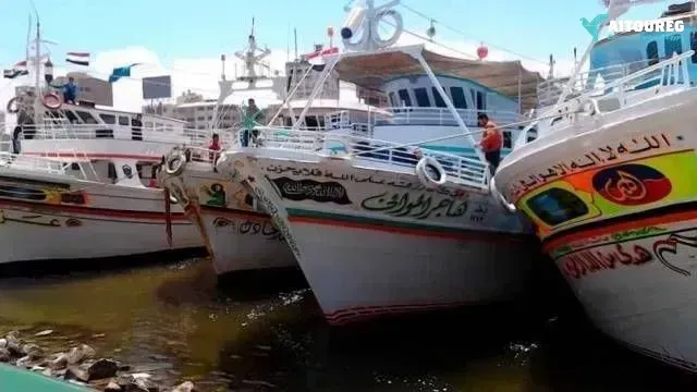 Private transfer from cairo airport to damietta