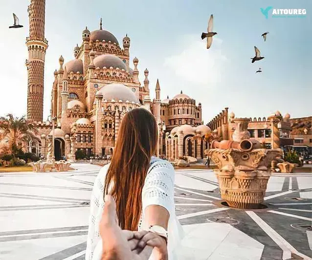 Private transfer from cairo to sharm el sheikh hotels
