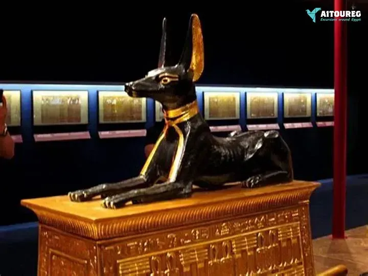 Private transfer from from aswan hotel to luxor hotel