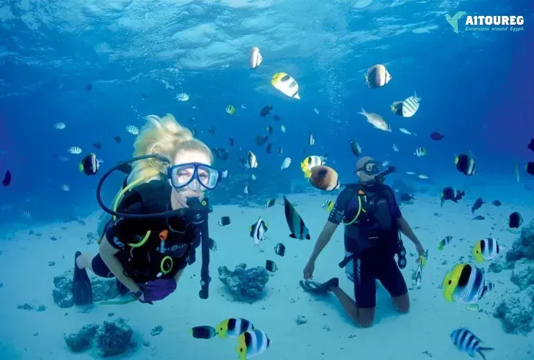 Scuba diving excursions from sahl hasheesh