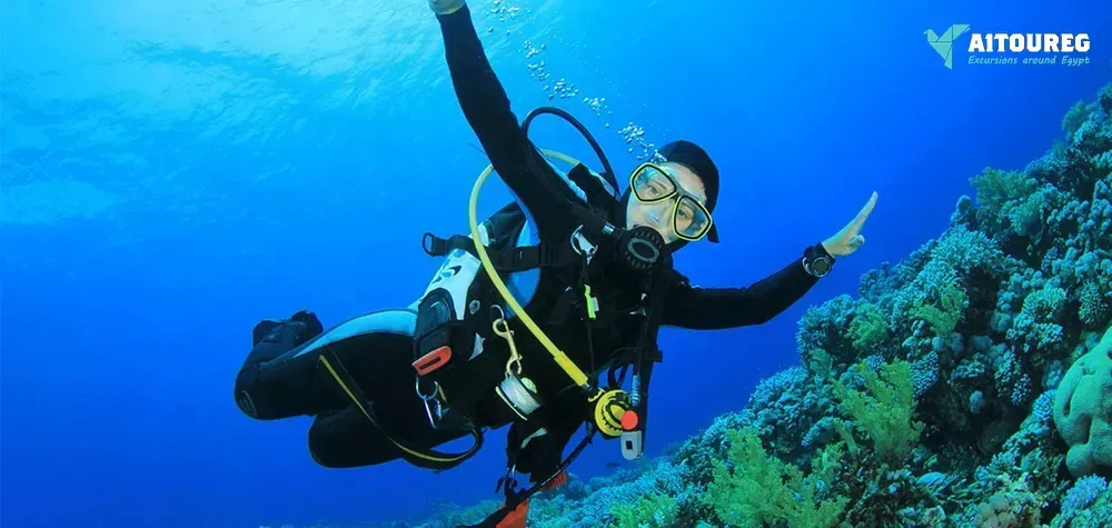 Scuba diving excursions from sahl hasheesh