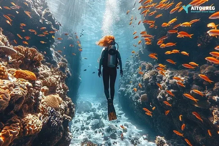 Scuba diving trip from hurghada