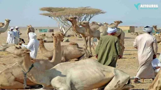 Shalateen tour from marsa alam