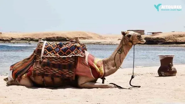Sharm El Naga snorkeling day trip from Hurghada.